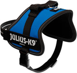 Blaues Hundegeschirr mit schwarzem Rand und einem sichtbaren Logo "Julius-K9" an der Seite.