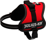 Rotes Hundegeschirr mit schwarzem Rand und reflektierenden Streifen, beschriftet mit "Julius-K9".