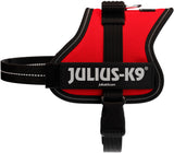 Rotes Hundegeschirr mit schwarzem Rand und weißem Logo "Julius-K9" auf der Seite.