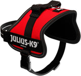 Rotes Hundegeschirr mit schwarzem Rand, kleinem Griff und der Aufschrift "JULIUS-K9".