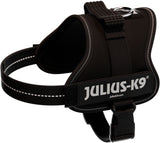Schwarzes Hundegeschirr mit reflektierenden Streifen und der Aufschrift "JULIUS-K9" auf der Seite.