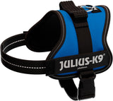 Hundegeschirr in Blau mit schwarzem Gurt, reflektierenden Streifen und Julius-K9-Logo.