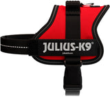 Rotes Hundegeschirr mit schwarzem Rand und Klettverschluss, darauf der Text "JULIUS-K9".