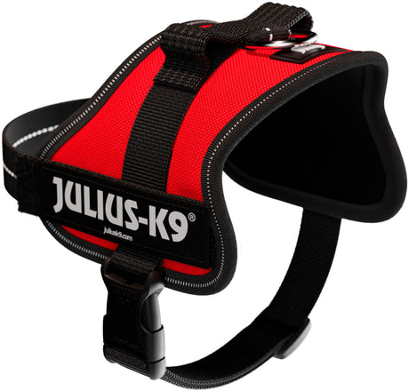 Rotes Hundegeschirr mit schwarzem Rand und weißer Aufschrift "JULIUS-K9" auf der Vorderseite.