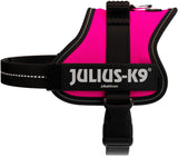 Pinkes Hundegeschirr mit schwarzem Rand und reflektierenden Streifen, Markenname "Julius-K9" sichtbar.