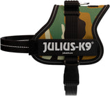 Hundegeschirr in Tarnfarbe mit schwarzem Rand und weißem "Julius-K9"-Schriftzug auf der Seite.