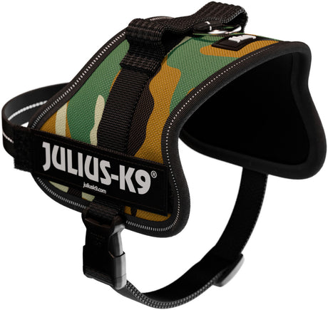 Hundegeschirr in Camouflage-Farben mit schwarzem Rand und Schnalle, darauf der Schriftzug JULIUS-K9.