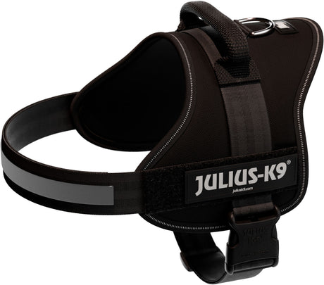 Schwarzes Hundegeschirr mit reflektierenden Streifen, Klettverschluss und sichtbarem Text "JULIUS-K9".