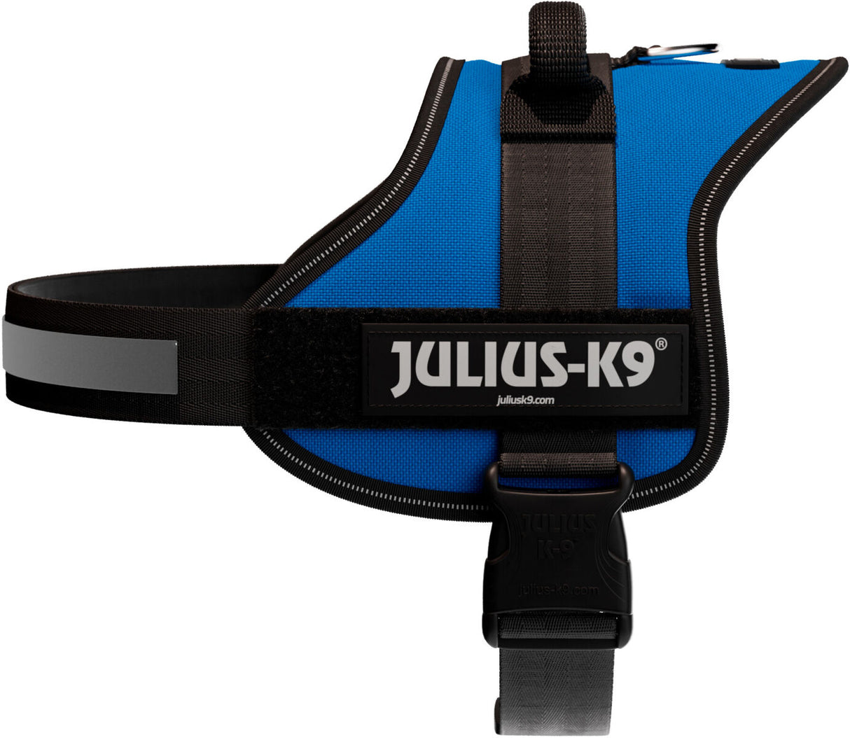 Blaues Hundegeschirr mit schwarzem Rand und Aufschrift "Julius-K9", verstellbarer Gurt und Schnalle.
