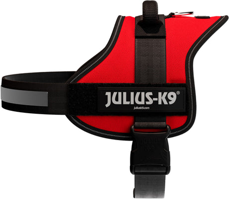 Rotes Geschirr mit grauem Riemen, schwarzem Klettverschluss und der Aufschrift "Julius-K9".