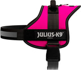 Pinkes Hundegeschirr mit schwarzem Riemen und schwarzem Aufdruck "JULIUS-K9" auf Vorderseite.