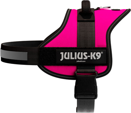 Pinkes Hundegeschirr mit schwarzem Riemen und schwarzem Aufdruck "JULIUS-K9" auf Vorderseite.