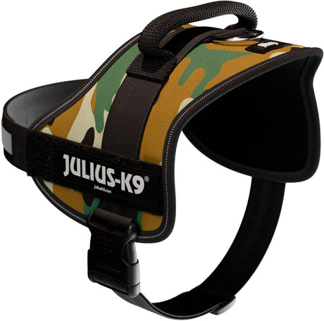Hundegeschirr mit Camouflage-Muster und schwarzem Verschluss, darauf steht "Julius-K9".