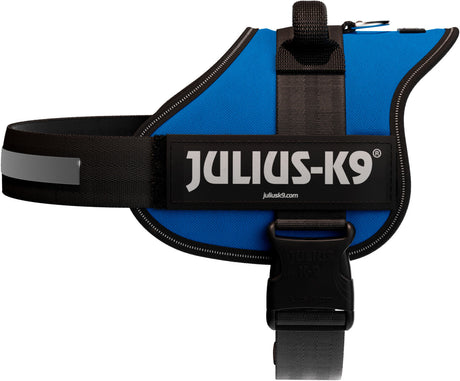 Blaues Hundegeschirr mit schwarzem Rand und Schriftzug "Julius-K9", Klettverschluss und Schnalle sichtbar.