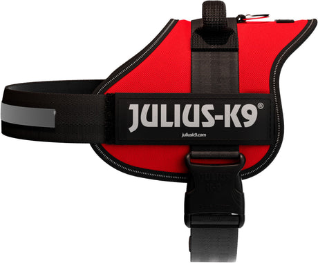 Rotes Hundegeschirr mit schwarzem Rand und Klettverschluss, der Text "Julius-K9" ist auf der Seite sichtbar.