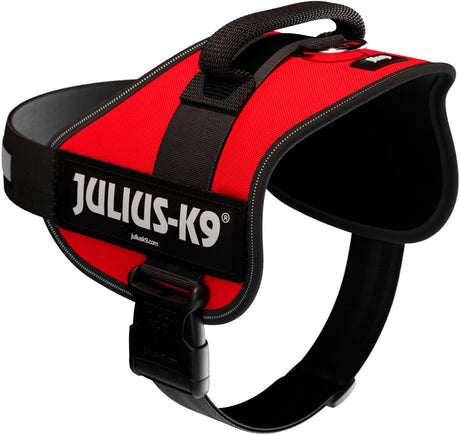 Rotes Hundegeschirr mit schwarzem Gurt und Griff, Aufschrift "Julius-K9" auf der Seite sichtbar.