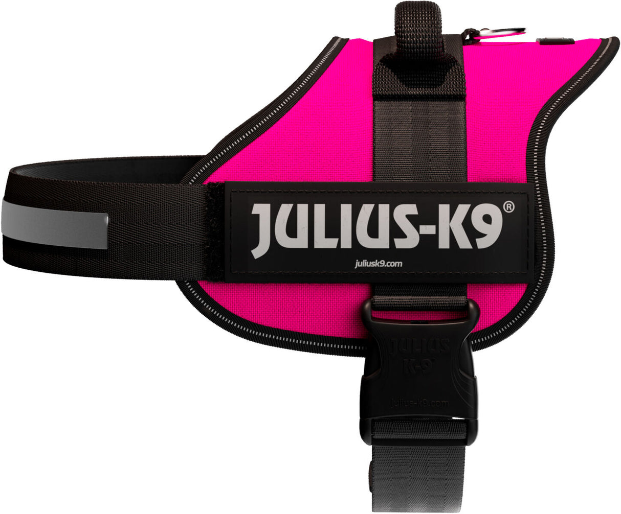 Pinkes Hundegeschirr mit schwarzem Rand und dem Schriftzug "Julius-K9" auf einer Seite.
