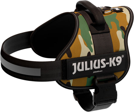 Hundegeschirr in Tarnfarben mit Schriftzug "Julius-K9" auf schwarzem Band und Klickverschluss.