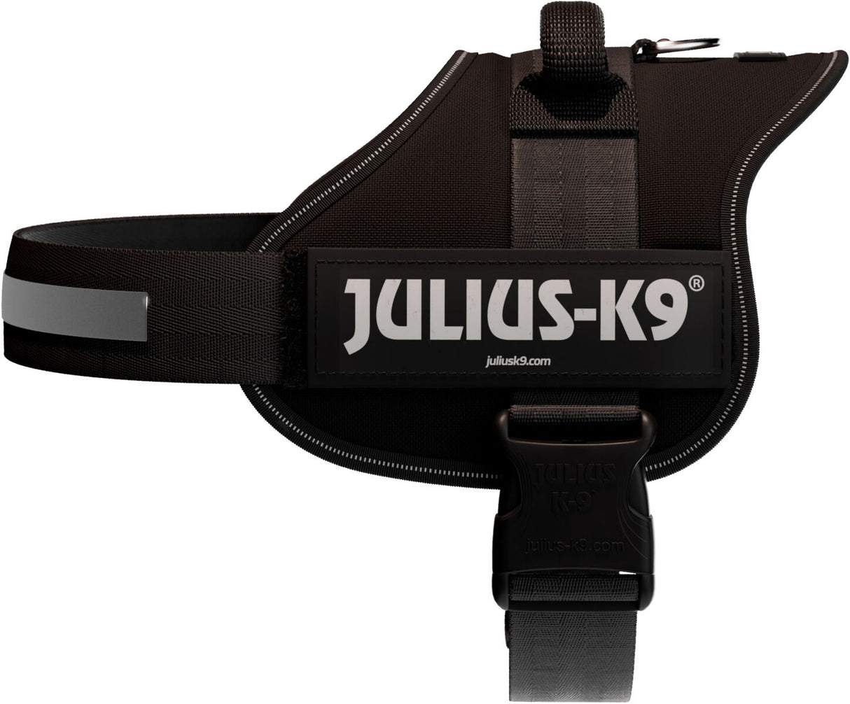 Schwarzes Hundegeschirr mit reflektierendem Streifen und großem "JULIUS-K9" Schriftzug an der Seite.