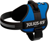 Blaues Hundegeschirr mit schwarzem Rand und Aufschrift "Julius-K9", verstellbare Gurte und Griff an der Oberseite.