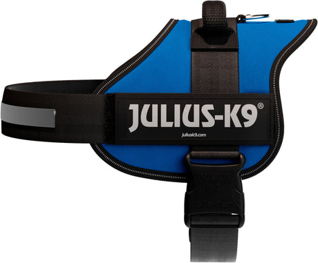 Blaues Hundegeschirr mit schwarzem Riemen und "Julius-K9" Logo, seitlicher D-Ring und reflektierender Streifen.