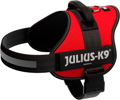 Rotes Hundegeschirr mit schwarzem Gurt und reflektierendem Streifen, Marke Julius-K9, sichtbar auf der Seite.