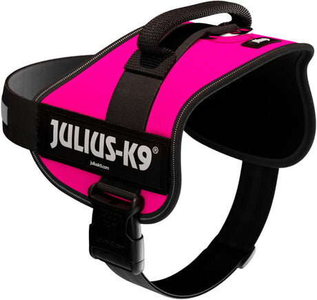 Hundegeschirr in kräftigem Pink mit schwarzem Gurt und Griff, Markenname "JULIUS-K9" in Weiß auf schwarzem Label sichtbar.
