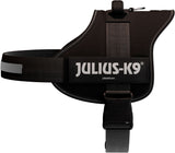 Schwarzes Hundegeschirr mit reflektierenden Elementen und der Aufschrift "JULIUS-K9".