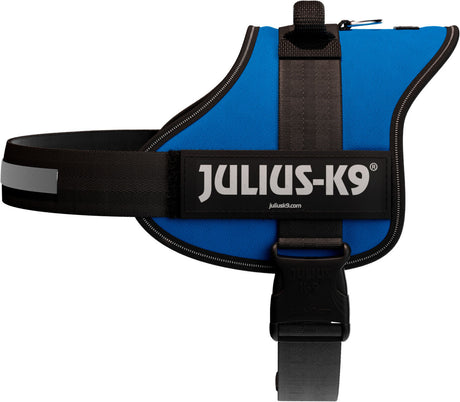 Blaues Hundegeschirr mit schwarzer Umrandung und der Aufschrift "JULIUS-K9" seitlich auf schwarzem Band.