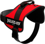 Rotes Hundegeschirr mit schwarzem Rand und Griff, schwarzer Klettverschluss, Aufschrift "JULIUS-K9".