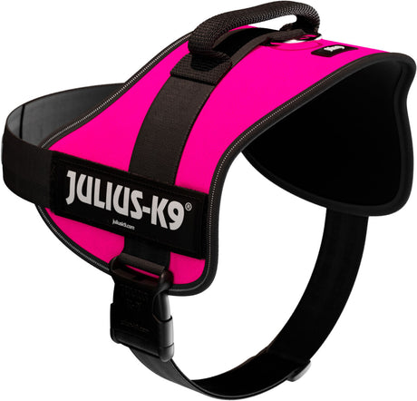 Hundegeschirr in leuchtendem Pink mit schwarzem Rand und einem Aufnäher mit der Aufschrift "Julius-K9".