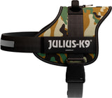 Hundegeschirr in Camouflage-Optik mit schwarzem Gurt und reflektierendem Streifen, Aufschrift "Julius-K9".