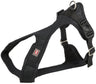 Schwarzes Hundegeschirr mit Schnallen und Befestigungsring.