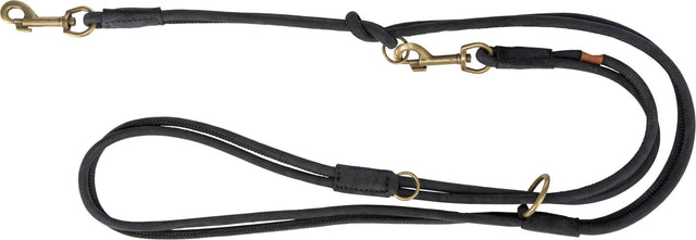 Schwarze Hundeleine mit goldfarbenen Karabinerhaken und Ringen, mehrfache Knoten und Schlaufen erkennbar.