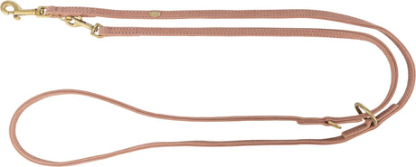 Hundeleine aus braunem Leder mit goldfarbenen Metallhaken und Ringen, langer schmaler Schnitt.