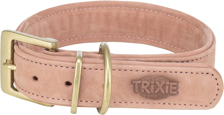 Rosa Hundehalsband mit gesticktem Logo und messingfarbener Schnalle sowie Schlaufen aus Metall.