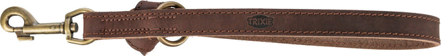 Kurze Hundeleine aus braunem Leder mit sichtbaren Nähten und einem metallenen Karabinerhaken.