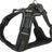 Schwarzes Hundegeschirr mit Mesh-Material und reflektierenden Streifen, verstellbaren Gurten und Klickverschluss.