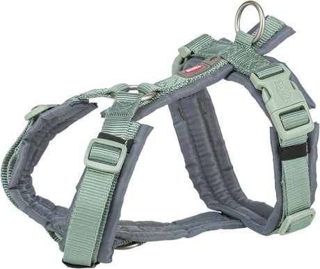 Graues und grünes Hundegeschirr mit verstellbaren Riemen und Befestigungsringen, Seitensicht.