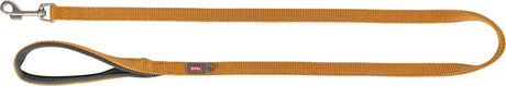 Orange Hundeleine aus Stoff mit silbernem Metallkarabiner und gepolsterter grauer Handschlaufe.