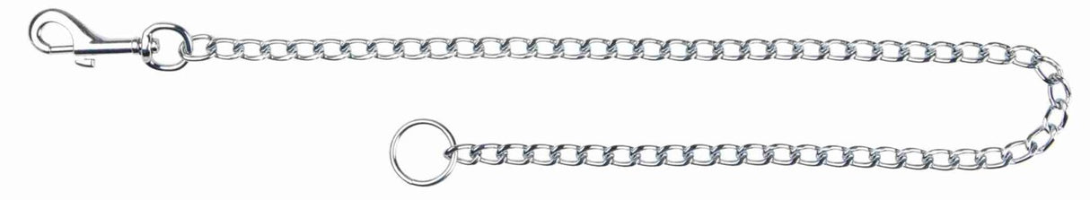 Silberne Kette mit Karabinerhaken und rundem Ring an den Enden auf weißem Hintergrund.