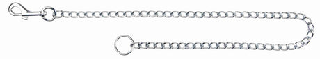 Silberne Kette mit Karabinerhaken und rundem Ring an den Enden auf weißem Hintergrund.