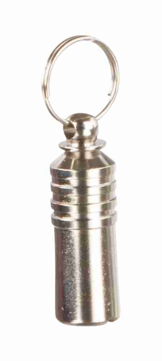 Silberner Schlüsselanhänger in zylindrischer Form mit ringförmigem Verschluss oben, glänzende Oberfläche.