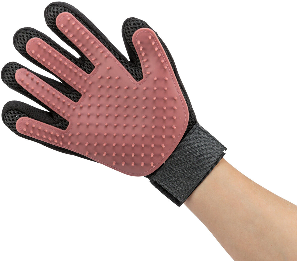 Hand mit schwarzem Handschuh, der eine rote, genoppte Oberfläche hat, zur Pflege oder Reinigung von Tieren.
