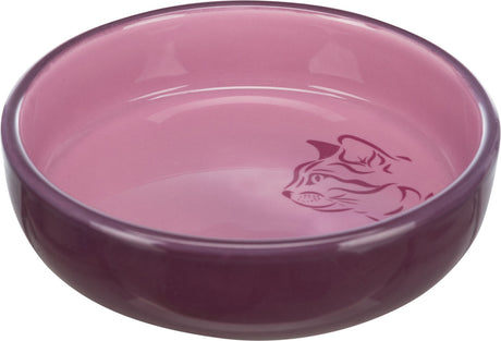 Rosa Schüssel mit lila Rand und Katzenmotiv auf dem Boden.