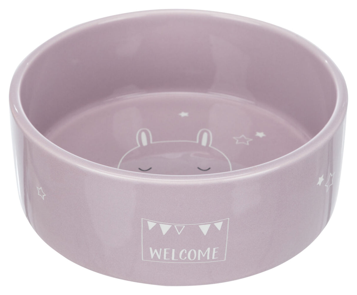 Lila Schüssel mit "WELCOME"-Schriftzug, Tiermotiv und Sternmustern auf dem Boden und an der Seite.