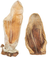 Lammohren mit Fell