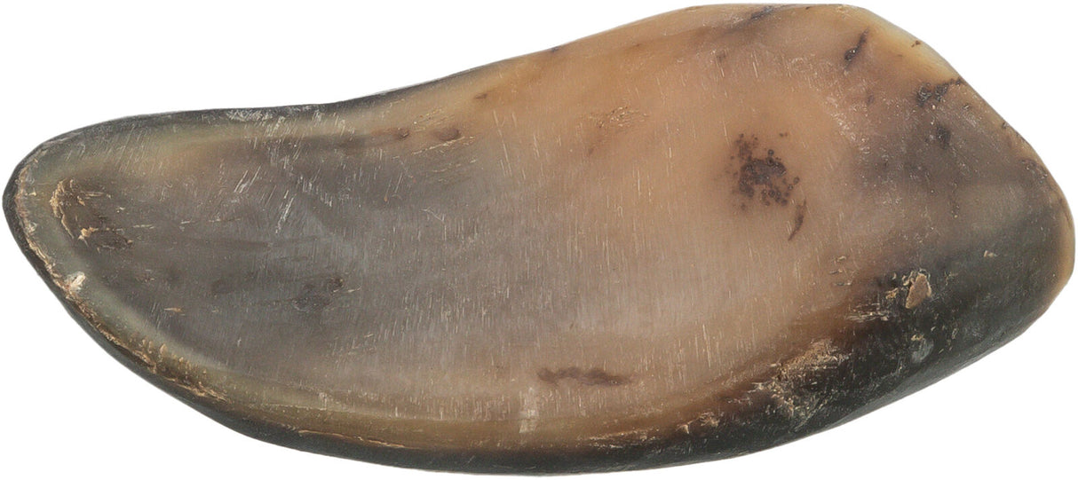Braunes, abgerundetes Objekt mit glatter Oberfläche und dunkleren Flecken, das an einen Stein oder Knochen erinnert.