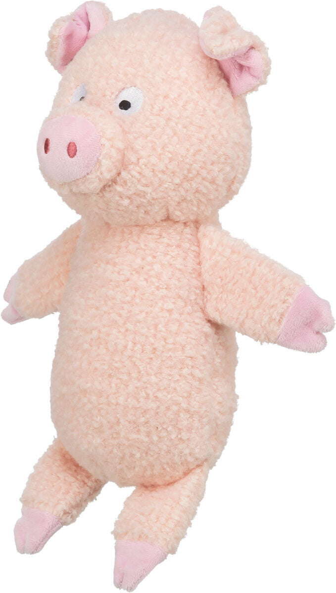 Schwein