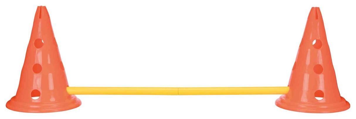 Zwei orange Kegel mit Löchern sind über eine gelbe Stange verbunden, auf weißem Hintergrund.